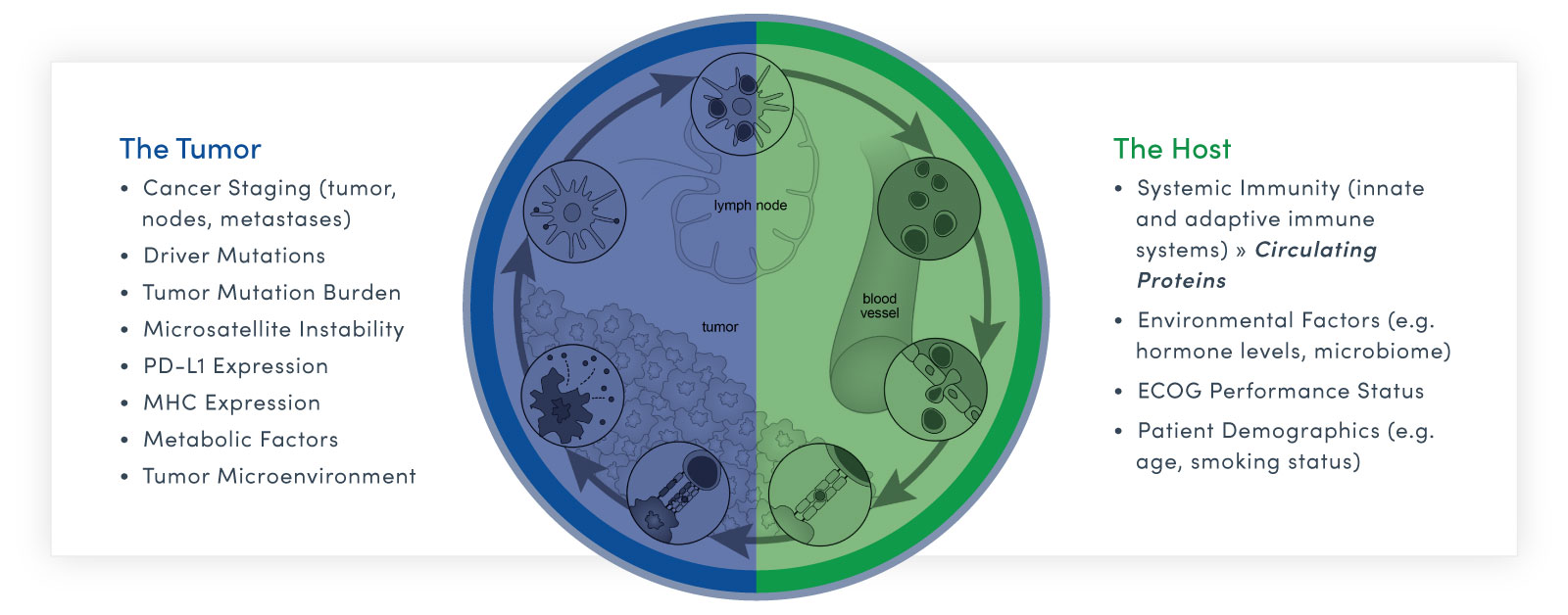 cancer ecosystem illustration